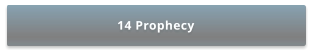 14 Prophecy
